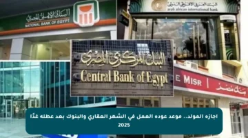 إجازة المولد.. موعد عودة العمل في الشهر العقاري والبنوك بعد عطلة غدًا 2025